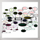 Search for functionalism posters Map