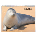 Search for seal calendars Animal