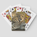 Search for baby cheetah toy games Wildlife