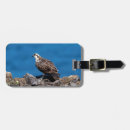 Recherche de pêcheur bagages étiquettes Animal