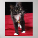 Search for black haired posters Cat