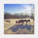 Search for prefectures Animal