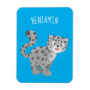 Search for snow leopard magnets Big cats