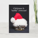Search for turtle christmas cards Cute