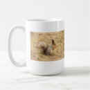 Search for cute squirrel pictures mugs Nature