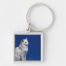 Search for copy space keychains Colour image