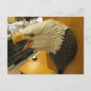 Search for eagle head postcards Animal