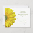 Recherche de gerbera jaune Vert
