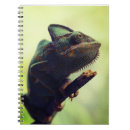 Recherche de cameleon carnets Animal