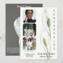 Search for white lily funeral invitations Celebration of life