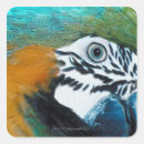 Search for side profile stickers Nature