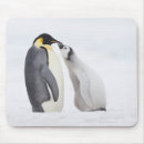 Search for full body mousepads Wildlife