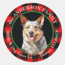 Search for cattle dog stickers Retro