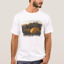 Search for backcountry tshirts Backpacking