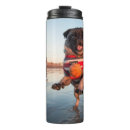 Search for pugs kitchen dining Pet