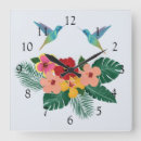 Search for hummingbird clocks Tropical
