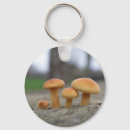 Search for toadstool keychains Fungus