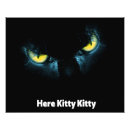 Search for cat eyes Scary