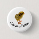 Search for quail buttons Bird