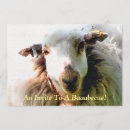 Search for ewes invitations Funny