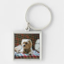 Search for lys keychains Canada