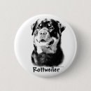 Recherche de rottweiler badges Chien