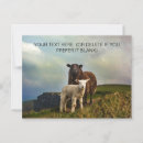 Recherche de dublin irlande cartes postales Vacances
