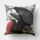Recherche de oiseau coloré coussins Aviaire