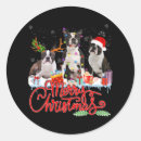 Search for funny boston terrier stickers Xmas
