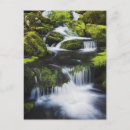 Search for great smoky mountains national park postcards Usa