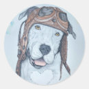 Search for vintage dog stickers Retro