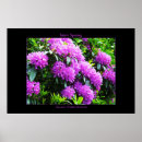 Search for celtic art posters Flowers