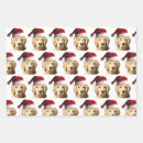 Search for golden retriever christmas wrapping paper Santa claus
