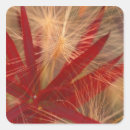 Search for fireweed stickers North america