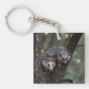 Search for possum keychains Wildlife
