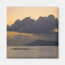 Recherche de morea magnets Tropical