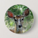 Search for doe buttons Deer