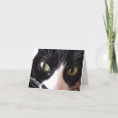 Search for black cat cards Whiskers