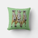 Search for digger pillows Cute
