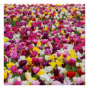 Recherche de champ posters Nature