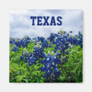Search for texans magnets Travel
