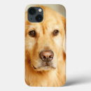 Search for golden retriever cases Cute
