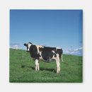 Recherche de vache holstein magnets Horizontal