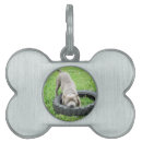 Recherche de jeu animaux articles Dogs