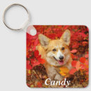 Search for welsh keychains Puppies