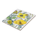 Recherche de pavots sauvages carreaux Fleurs