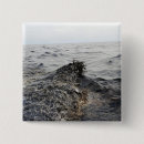 Search for slick buttons Gulf of mexico