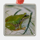 Search for frogs ornaments Green