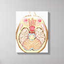 Recherche de sensoriel art Illustration