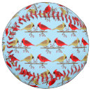 Search for christmas softballs Winter